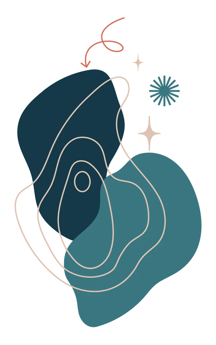 Illustration Les Façonautes : formes organiques et courbes de niveau, comme une carte d'exploration